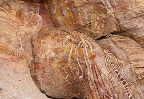 Kakadu Day Tour